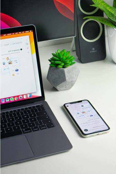 Case study loyalty